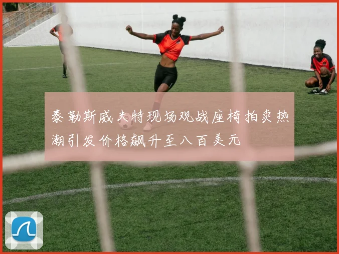 泰勒斯威夫特现场观战座椅拍卖热潮引发价格飙升至八百美元