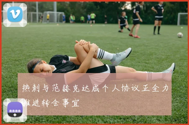 热刺与范赫克达成个人协议正全力推进转会事宜